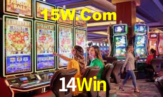 Interface Premium 14Win